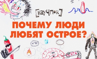 43-я серия