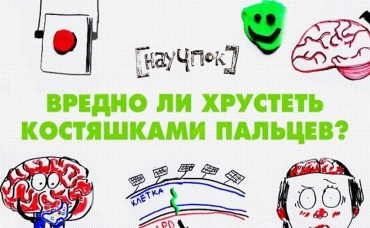 53-я серия