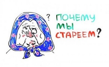 62-я серия