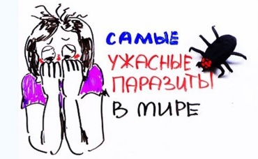 65-я серия