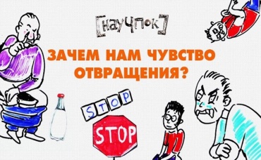 7-я серия