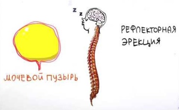 78-я серия