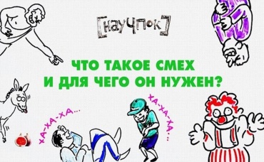 8-я серия