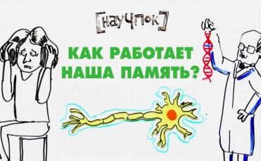 81-я серия