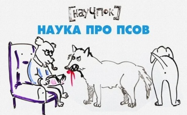 91-я серия