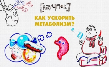 94-я серия