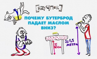 95-я серия