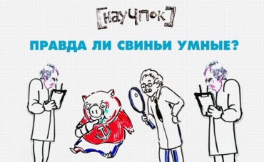 99-я серия