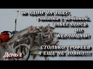 не ОДИН НА ЛЬДУ Рыбалка с ночёвкой ЗАБЕГАЛИСЬ ПО ЖЕРЛИЦАМ СТОЛЬКО ТРОФЕЕВ Я ЕЩЕ НЕ ЛОВИЛ!!! День 1