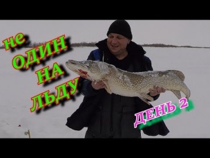 не ОДИН НА ЛЬДУ Рыбалка с ночёвкой ЗАБЕГАЛИСЬ ПО ЖЕРЛИЦАМ СТОЛЬКО ТРОФЕЕВ Я ЕЩЕ НЕ ЛОВИЛ!!! День 2