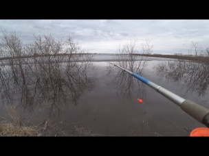 Неудачная разведка... Рыбалка на поплавок по открытой воде 2021
