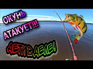 ОКУНЬ АТАКУЕТ!!! ДЕТИ В ДЕЛЕ! рыбалка на окуней 2020