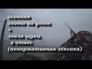 осенняя охота на уток   ловля щуки в отвес (ненормативная лексика)