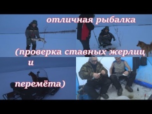 отличная рыбалка проверка ставных жерлиц и перемёта