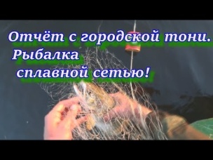 Отчёт с городской тони. Рыбалка сплавной сетью!