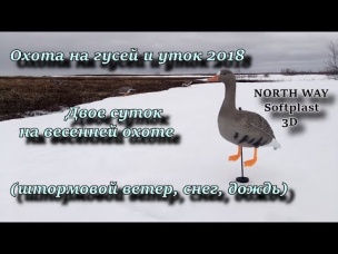охота на гусей и уток 2018 (штормовой ветер, снег, дождь) NORTH WAY SOFTPLAST 3D