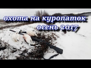 охота на куропатку Осень 2017
