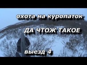 охота на куропаток ДА ЧТОЖ ТАКОЕ выезд 4