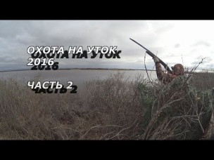 ОХОТА НА УТОК 2016. часть 2
