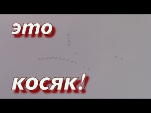 ОХОТНИКИ И РЫБОЛОВЫ ЗАПОЛЯРЬЯ. ЭТО КОСЯК!!!