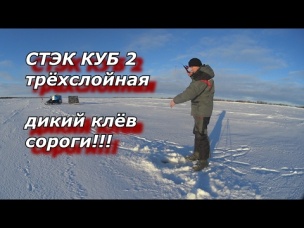 ПАЛАТКА СТЭК КУБ 2 Трёхслойная дикий клёв сороги