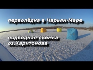 перволёдка в Нарьян Маре подводная съёмка оз Харитонова