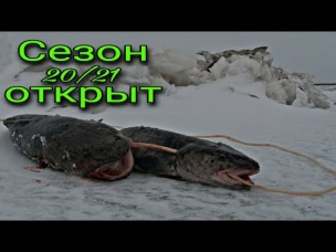 ПЕРВЫЕ НАЛИМЫ СЕЗОНА 20/21