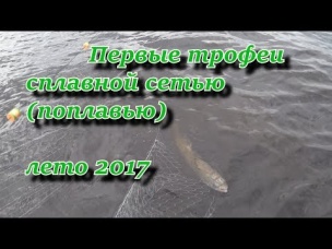 первые трофеи сплавной сетью (поплавью) лето 2017