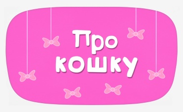 Про кошку (караоке)