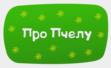 Про пчелу (караоке)