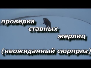 проверка ставных жерлиц (неожиданный сюрприз)