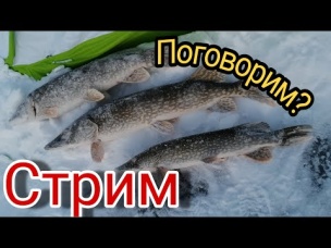 Прямая трансляция пользователя ОРЗ ТВ - Охотники и Рыболовы ЗАПОЛЯРЬЯ
