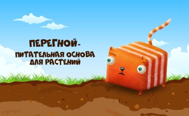 23-я серия