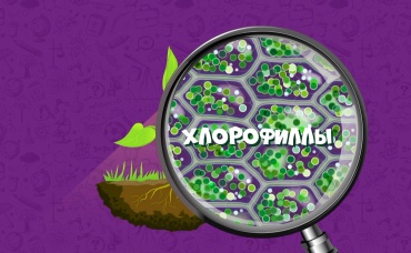 25-я серия