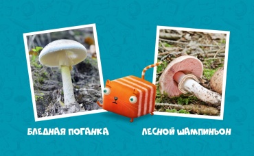 5-я серия