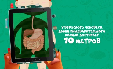 8-я серия