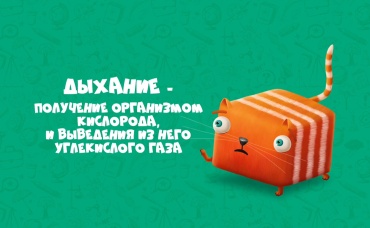 14-я серия