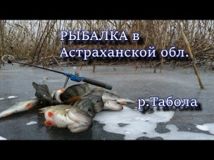 Рыбалка в Астраханской обл. Река Табола.