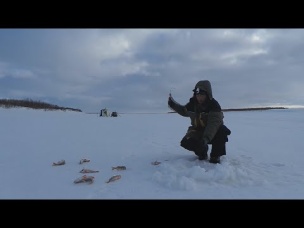 РЫБАЛКА НА КРАЙНЕМ СЕВЕРЕ ОКУНЬ СКУЧАТЬ НЕ ДАЁТ!!!