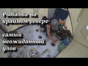 Рыбалка на крайнем севере. Самый неожиданный улов