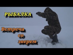 рыбалка на льду ВСТРЕЧАС СО ЗВЕРЕМ
