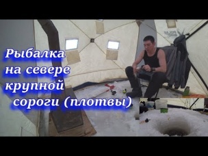 Рыбалка на севере крупной сороги плотвы