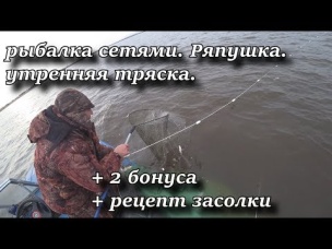 рыбалка сетями. Ряпушка. Утренняя тряска.   2 бонуса,   рецепт засолки