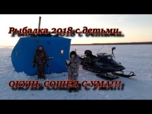 рыбалка 2018 с детьми. ОКУНЬ СОШЁЛ С УМА!!!