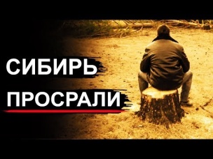 Сибирь и Тайга уходят с молотка