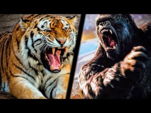 Смотри Вот это БИТВА Животных! КИНГ КОНГ vs ТИГРИЦА Zooba