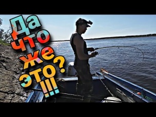 такой рыбалки я не ожидал...