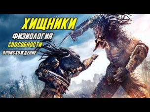 Хищники. (Происхождение, физиология, способности).