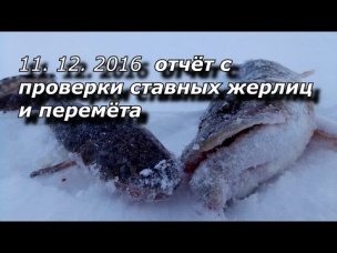 11 12 2016 отчёт с проверки ставных жерлиц и перемёта!
