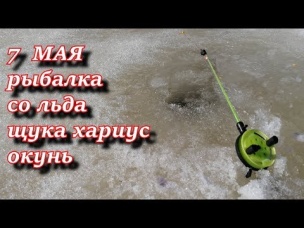 7 мая рыбалка со льда. хариус щука окунь